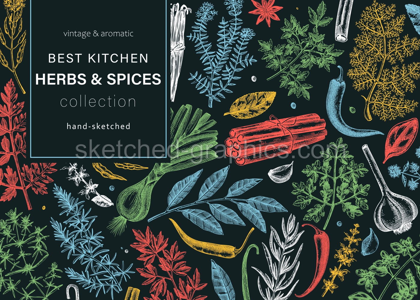 Hand-drawn herbs and spices vector banner. Hand-sketched food illustration. Vintage aromatic plants hand-drawing. Kitchen herbs and spice frame template in sketched style. Menu design on chalkboard Illustration